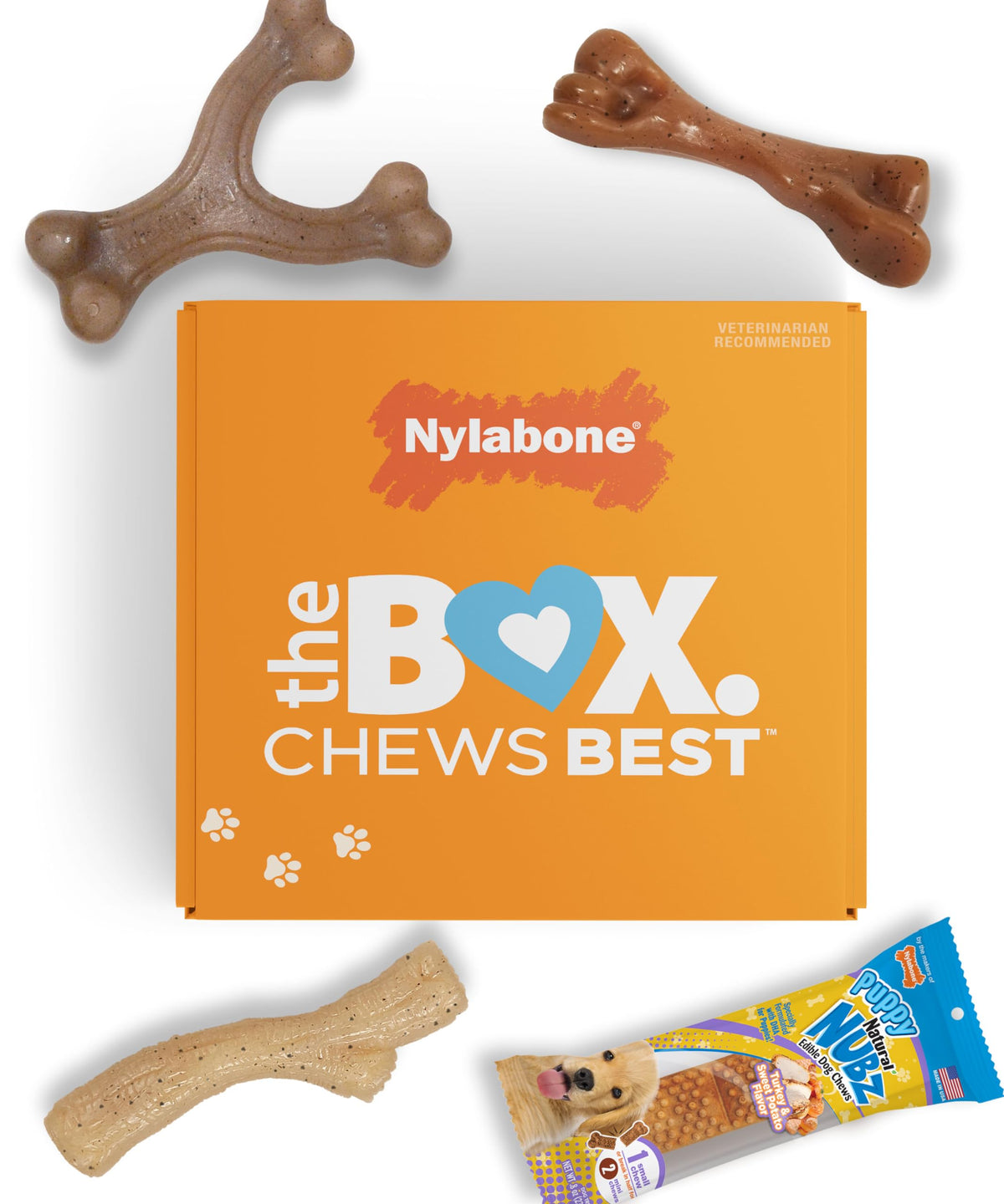 nylabone caja-regalo para cachorros con juguetes masticables que fomentan hábitos saludables.