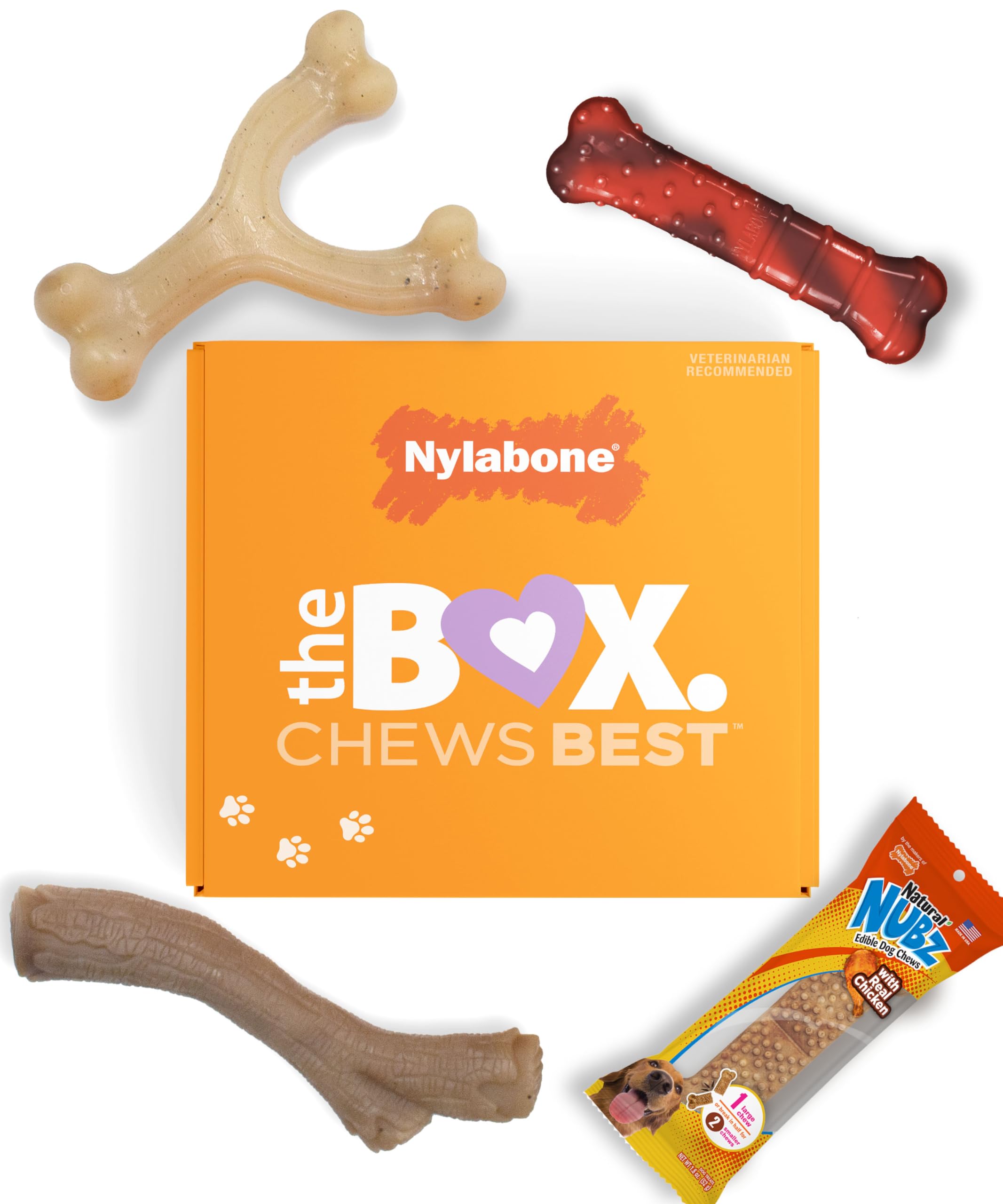 Nylabone caja regalo mordedores para perros pequeños, ideal para entretenimiento diario