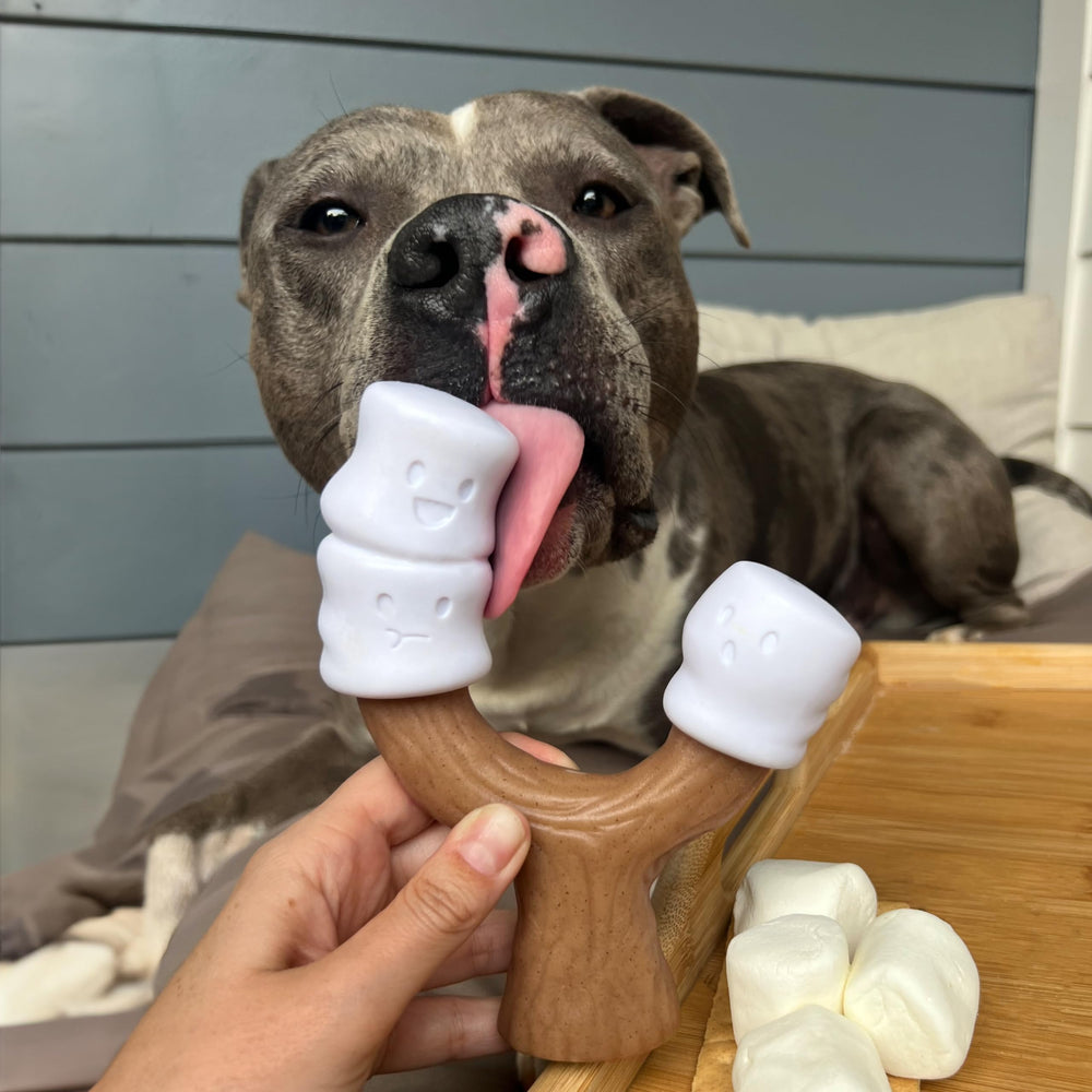 Nylabone Diseño Divertido, forma atractiva que entretiene durante el juego.