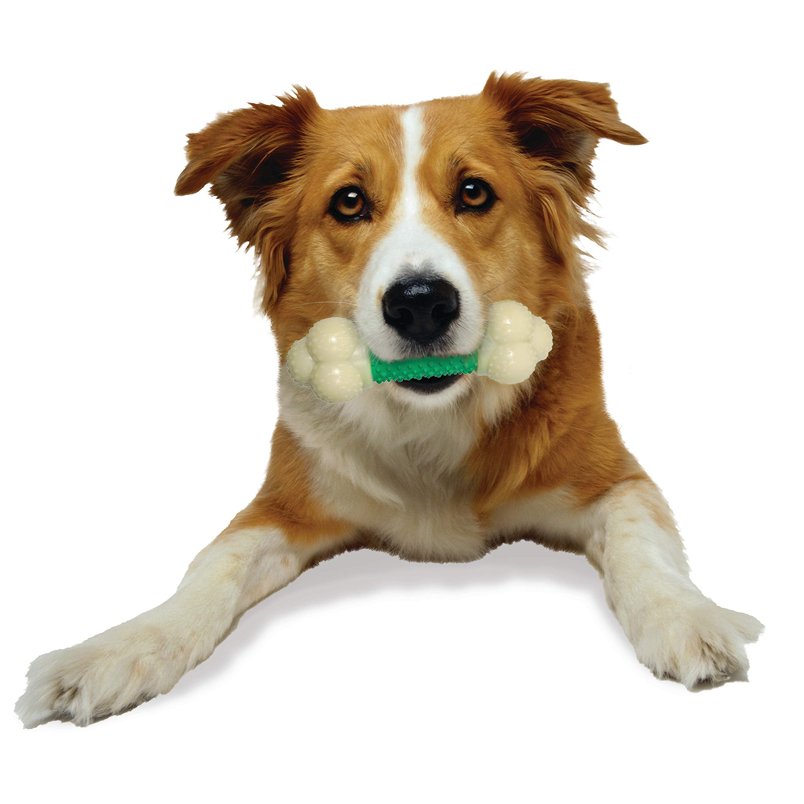 Nylabone Doble Acción, centro suave, masticación cómoda para perros medianos.