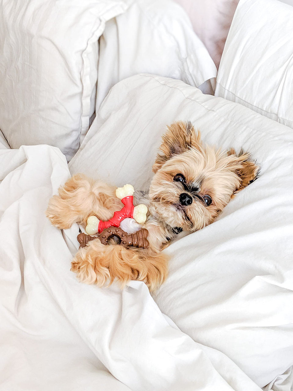 Nylabone Doble Hueso Potencia, nylon resistente para mordedores agresivos.