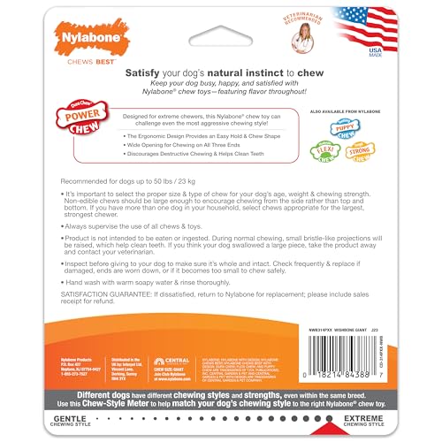 Nylabone: ideal para entrenamiento y diversión diaria