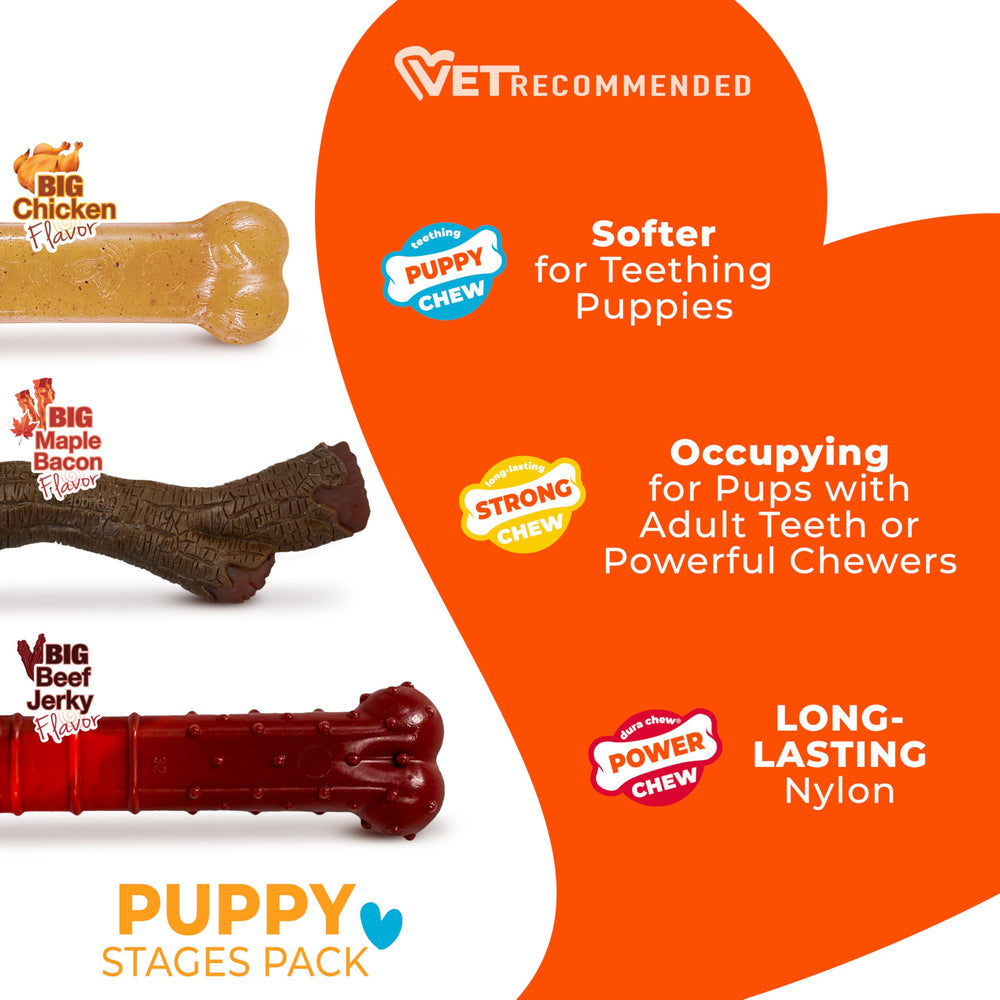 nylabone-etapas-cachorro-juguete-sabor-pollo: sabor atractivo para masticar.