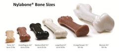 Nylabone FlexiChew Juego Perro: entretenimiento y masticación controlada para sesiones