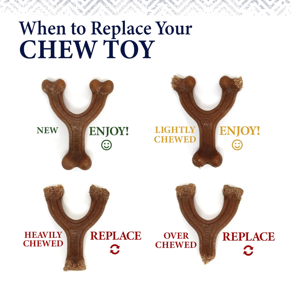 Nylabone Forma Hueso: diseño icónico para mordidas repetidas.