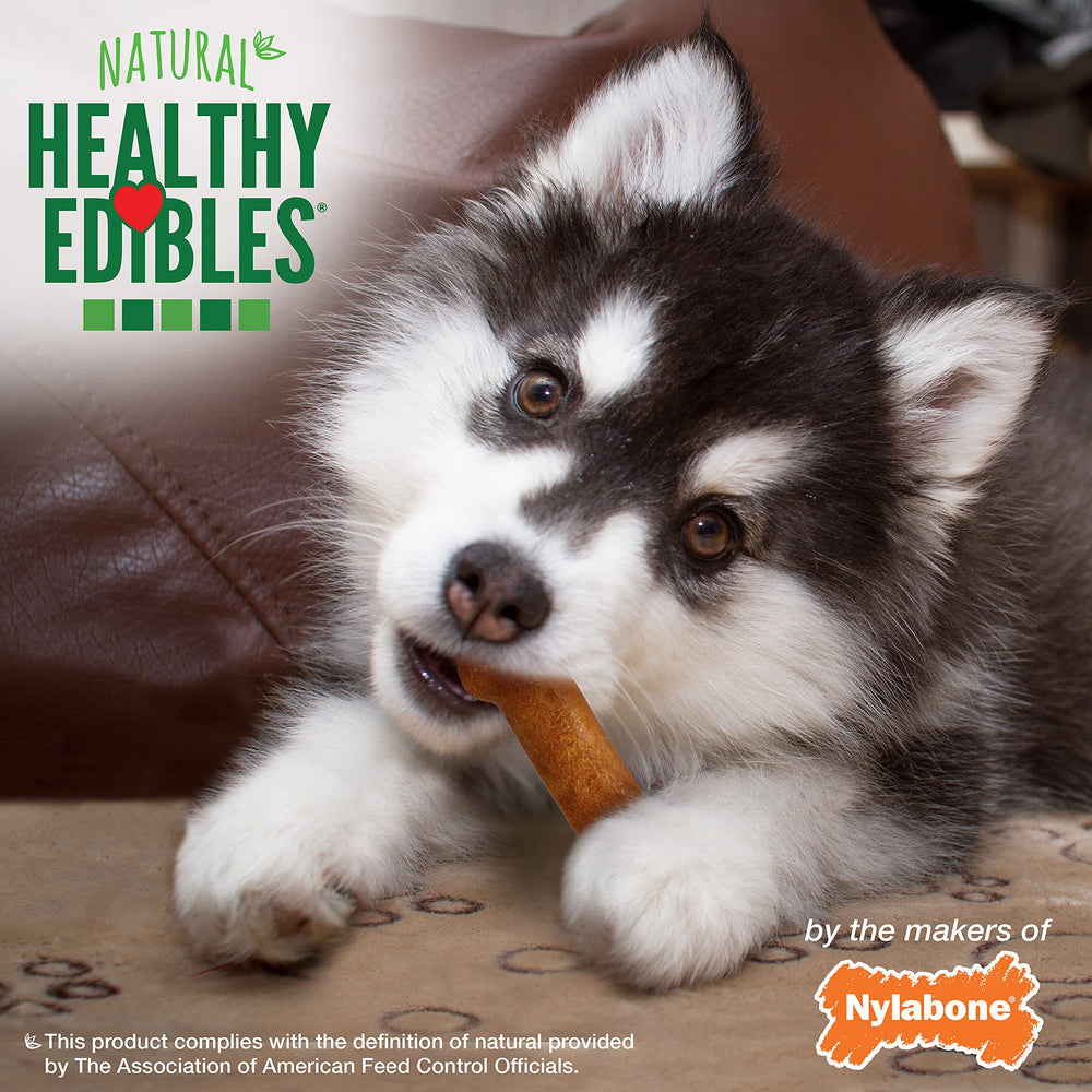 Nylabone Healthy Edibles fabricado en Estados Unidos con ingredientes naturales