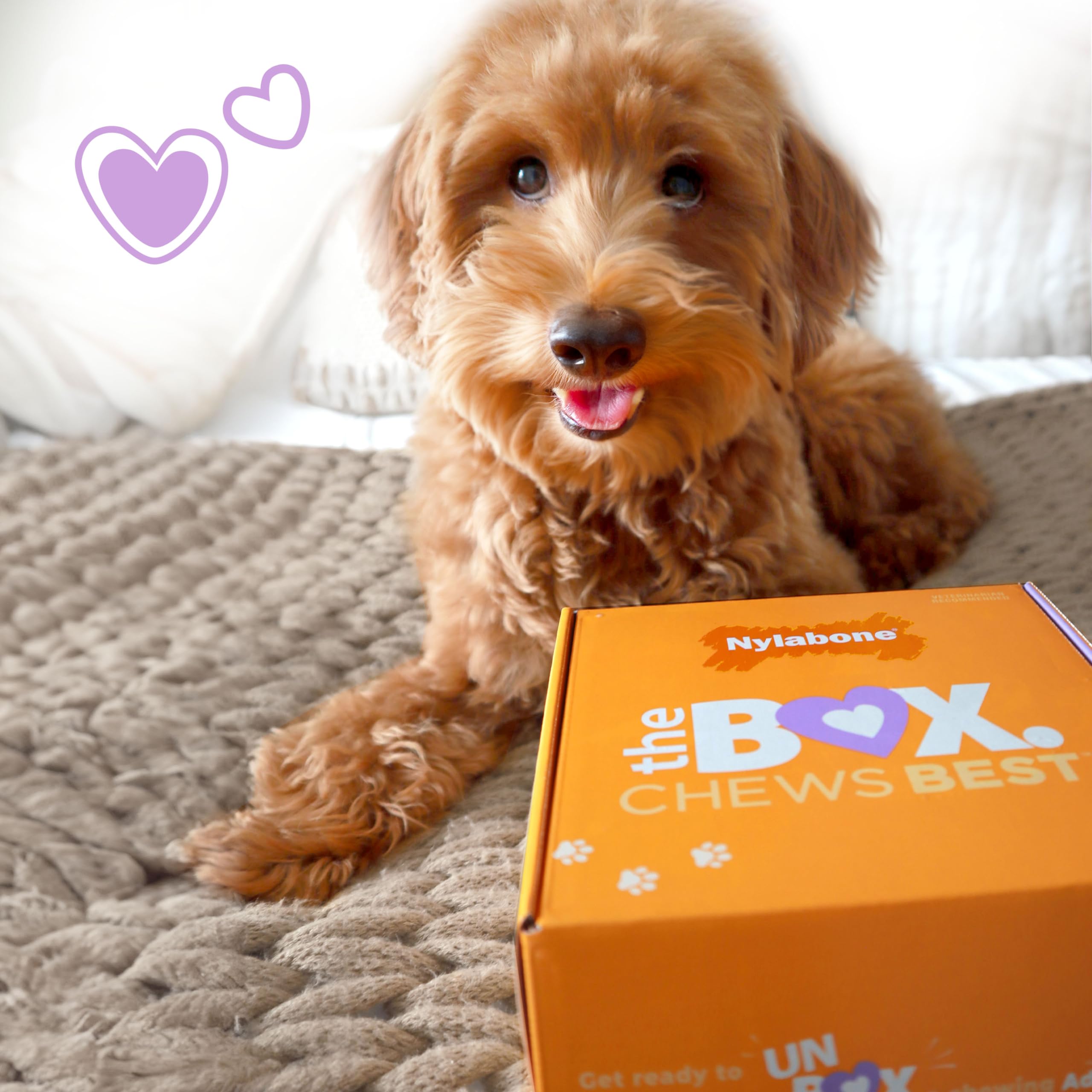 Nylabone hecho en EE.UU., garantía de calidad y seguridad