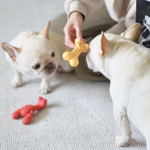 Sabor filet mignon de Nylabone Langosta Power Chew para juego y gusto.