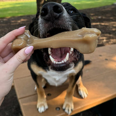 Nylabone Gourmet Costillas: sabor a costillas para perros; entretenimiento duradero.