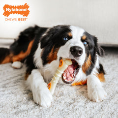 Nylabone Knuckle Bone Pop-In: material duradero para masticación vigorosa.