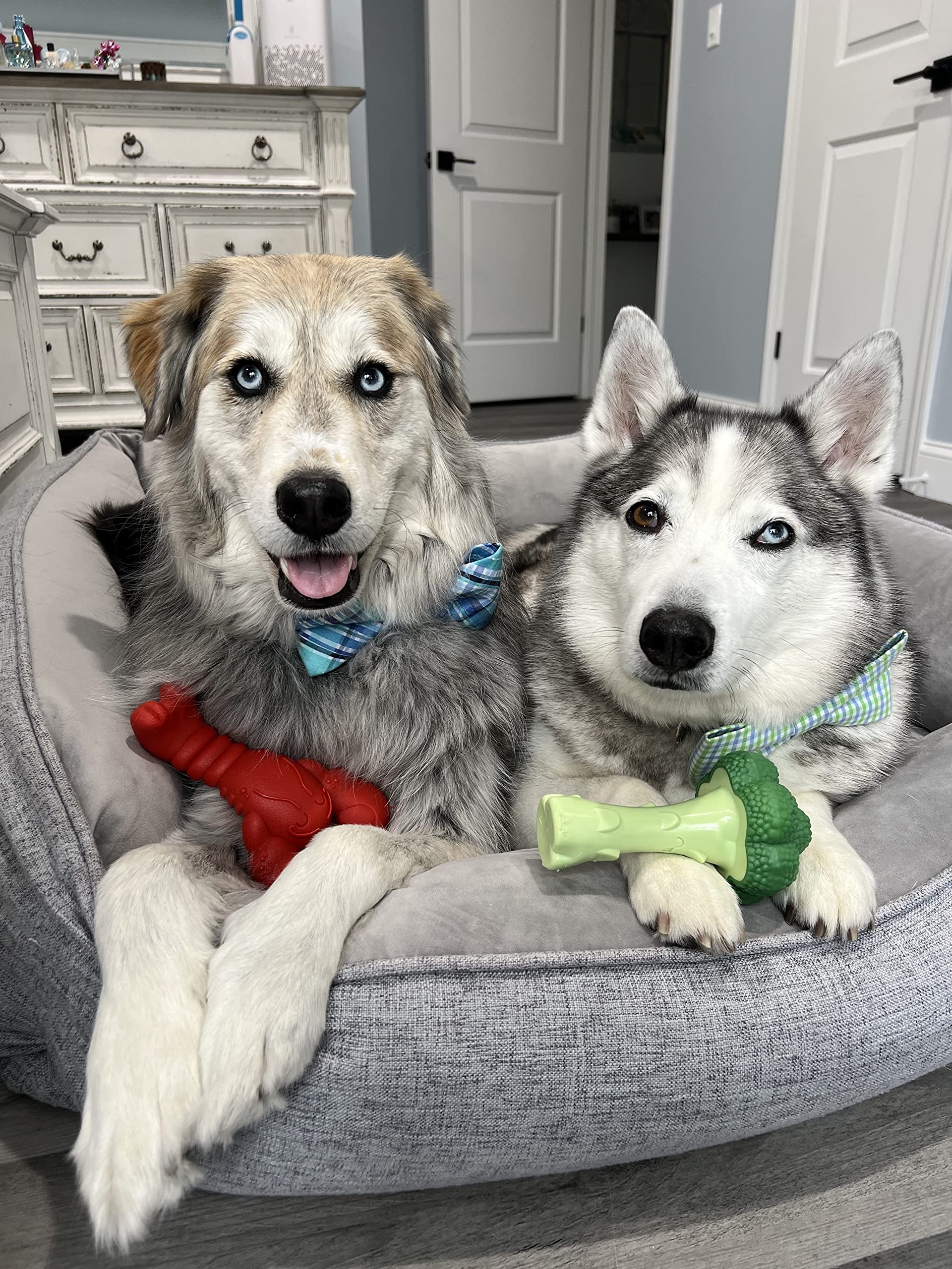 Nylabone diseño en arco facilita agarre y masticación prolongada para perros grandes.