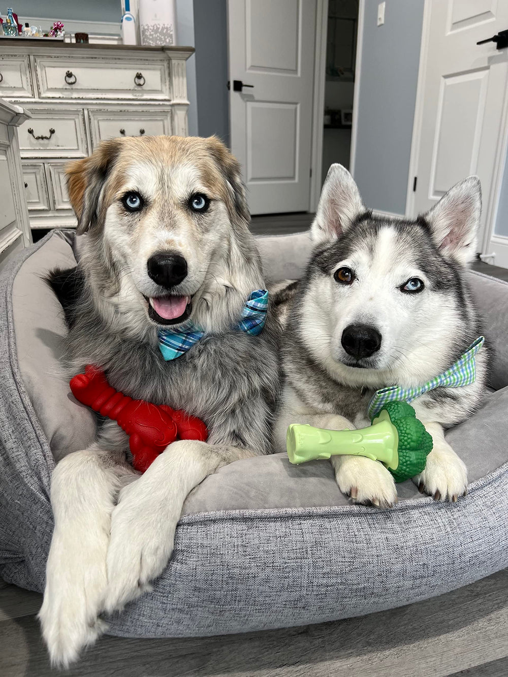 Nylabone diseño en arco facilita agarre y masticación prolongada para perros grandes.