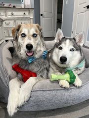 Nylabone diseño en arco facilita agarre y masticación prolongada para perros grandes.
