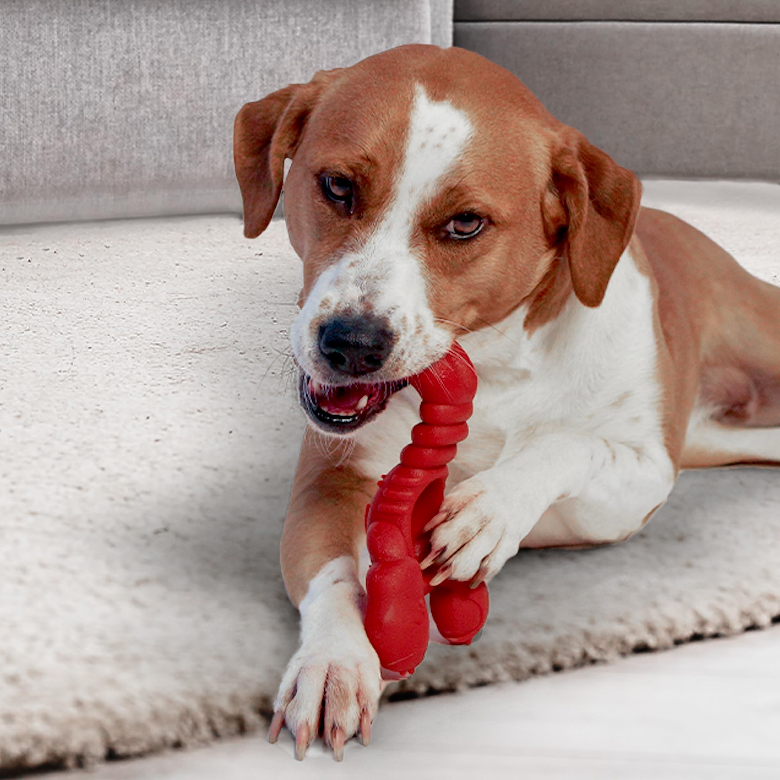 Nylabone diseño ergonómico para un agarre cómodo durante cada sesión.