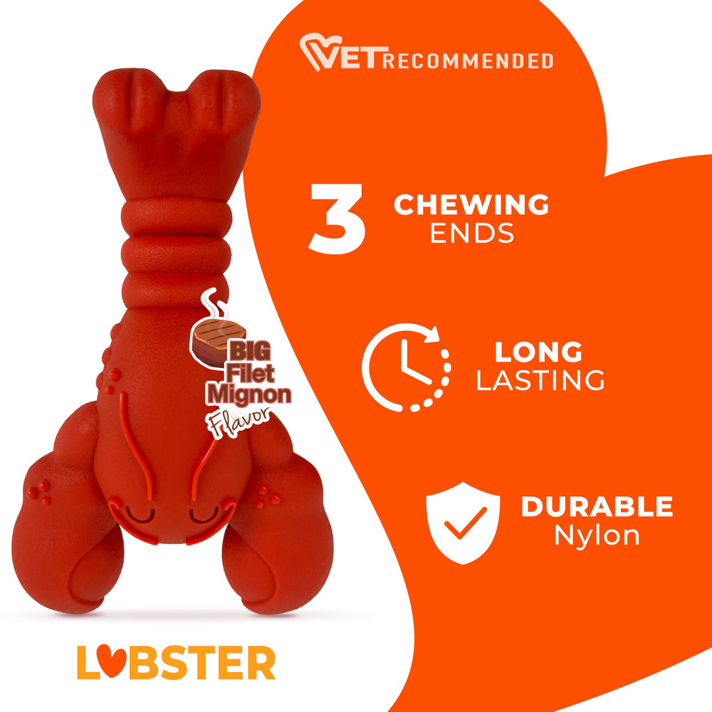 Nylabone material ultra duradero para enfrentar masticaciones potentes y largas sesiones.