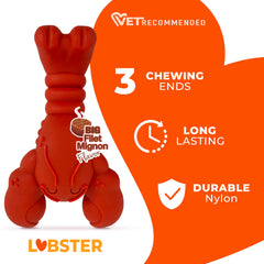 Nylabone material ultra duradero para enfrentar masticaciones potentes y largas sesiones.