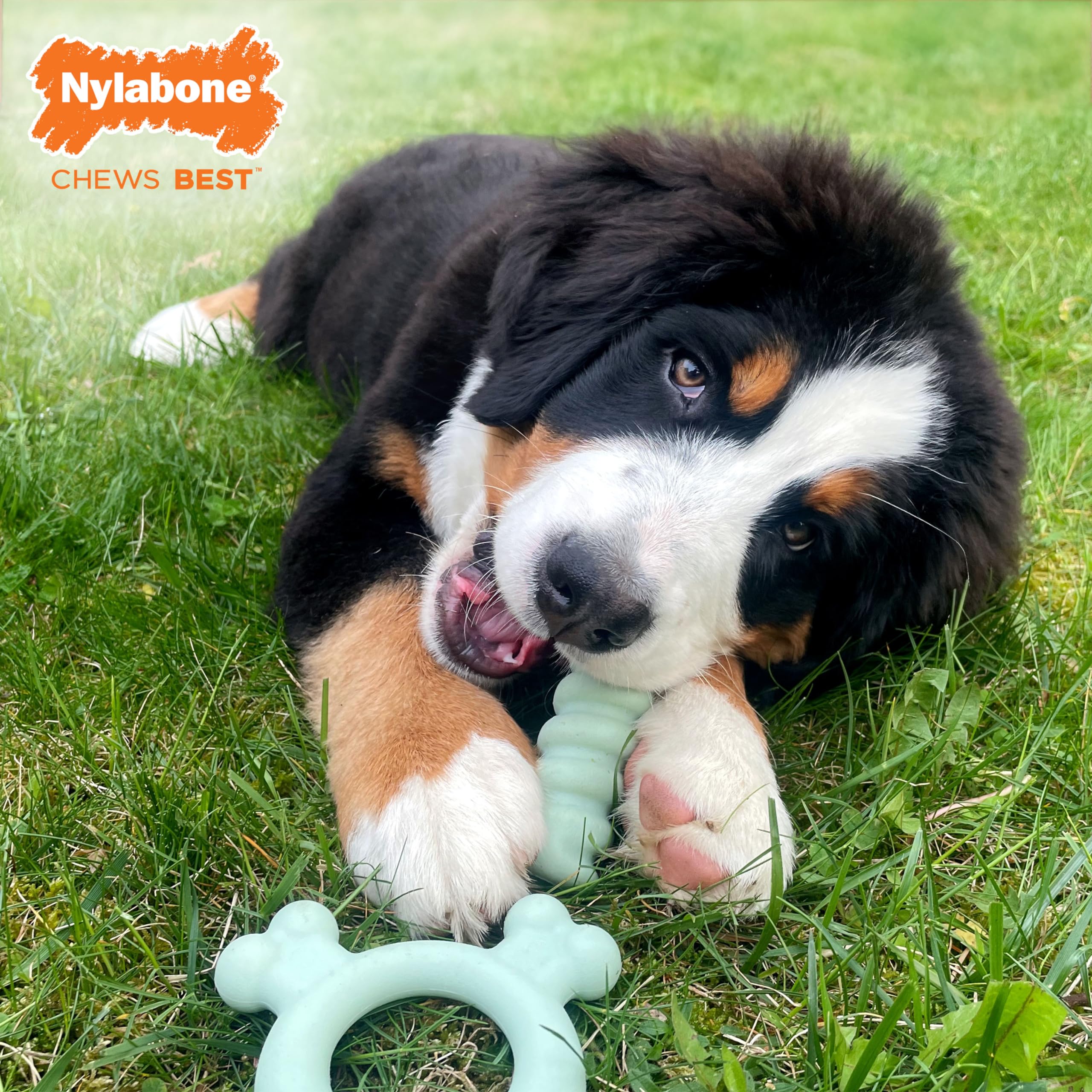 Nylabone, mordedor-cachorros-frio-alivio-encías, ofrece enfriamiento para la dentición.