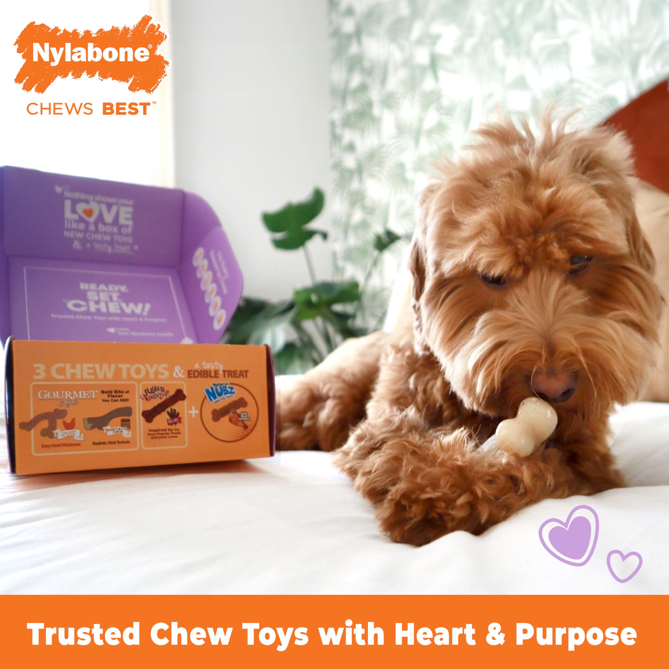 Nylabone mordedor en forma de espiga, perfecto para masticar y satisfacción
