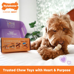 Nylabone mordedor en forma de espiga, perfecto para masticar y satisfacción