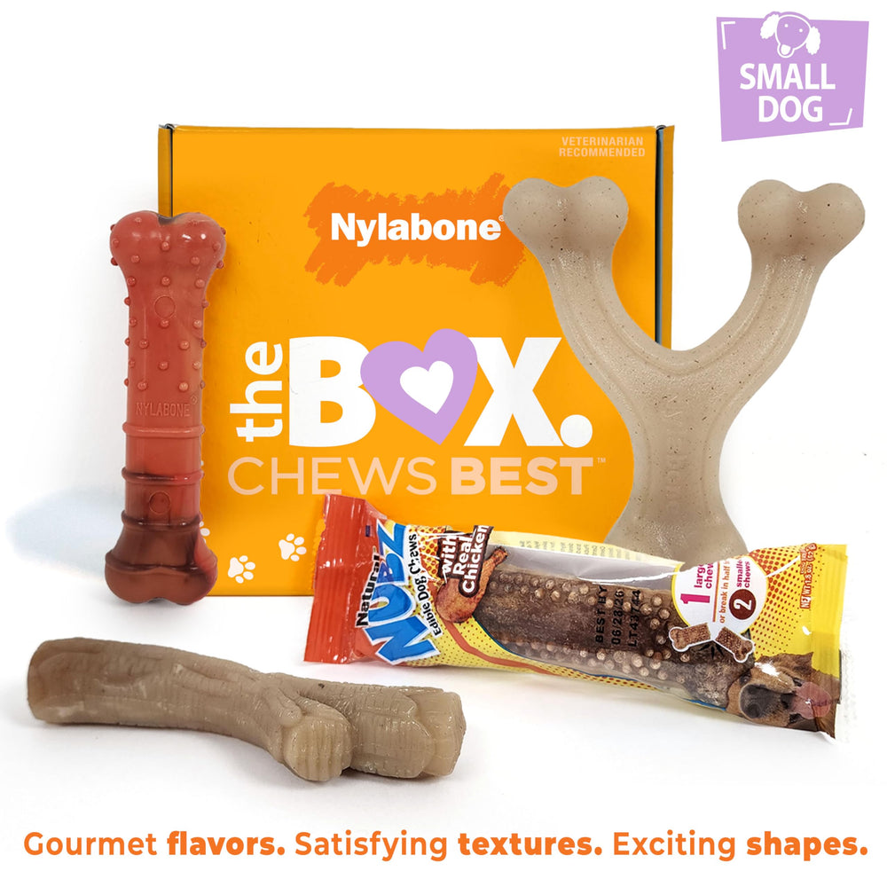 Nylabone mordedor en forma de palo, textura atractiva para masticar