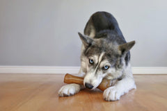Nylabone Puppy Chew Knuckle Bone, interior texturado para masticar con comodidad.
