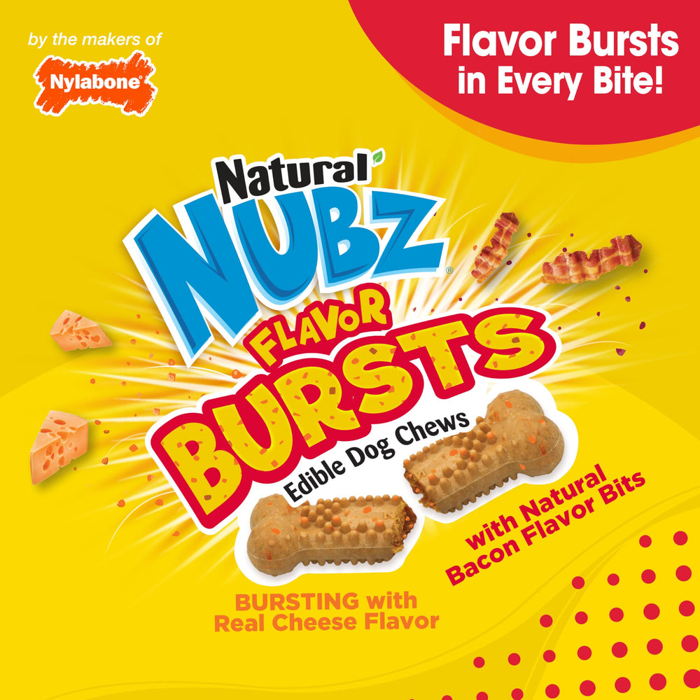 Nylabone Nubz Bursts tamaño grande, recomendado para perros de más de 30 libras.