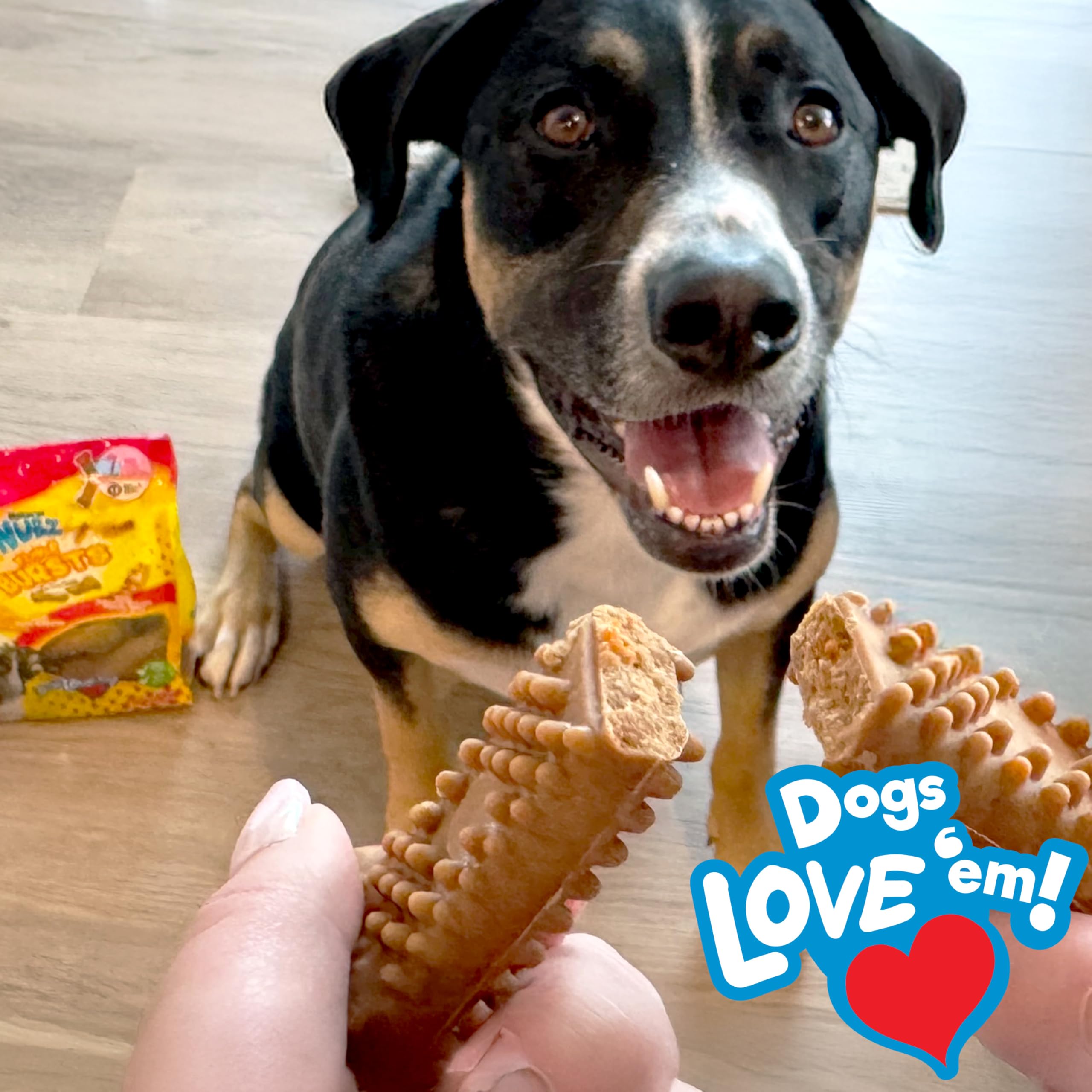Nylabone Nubz Bursts forma de hueso, textura atractiva para masticar de forma segura.