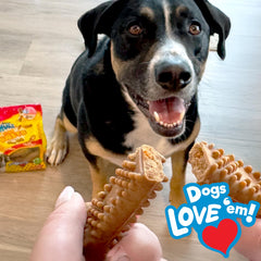 Nylabone Nubz Bursts forma de hueso, textura atractiva para masticar de forma segura.