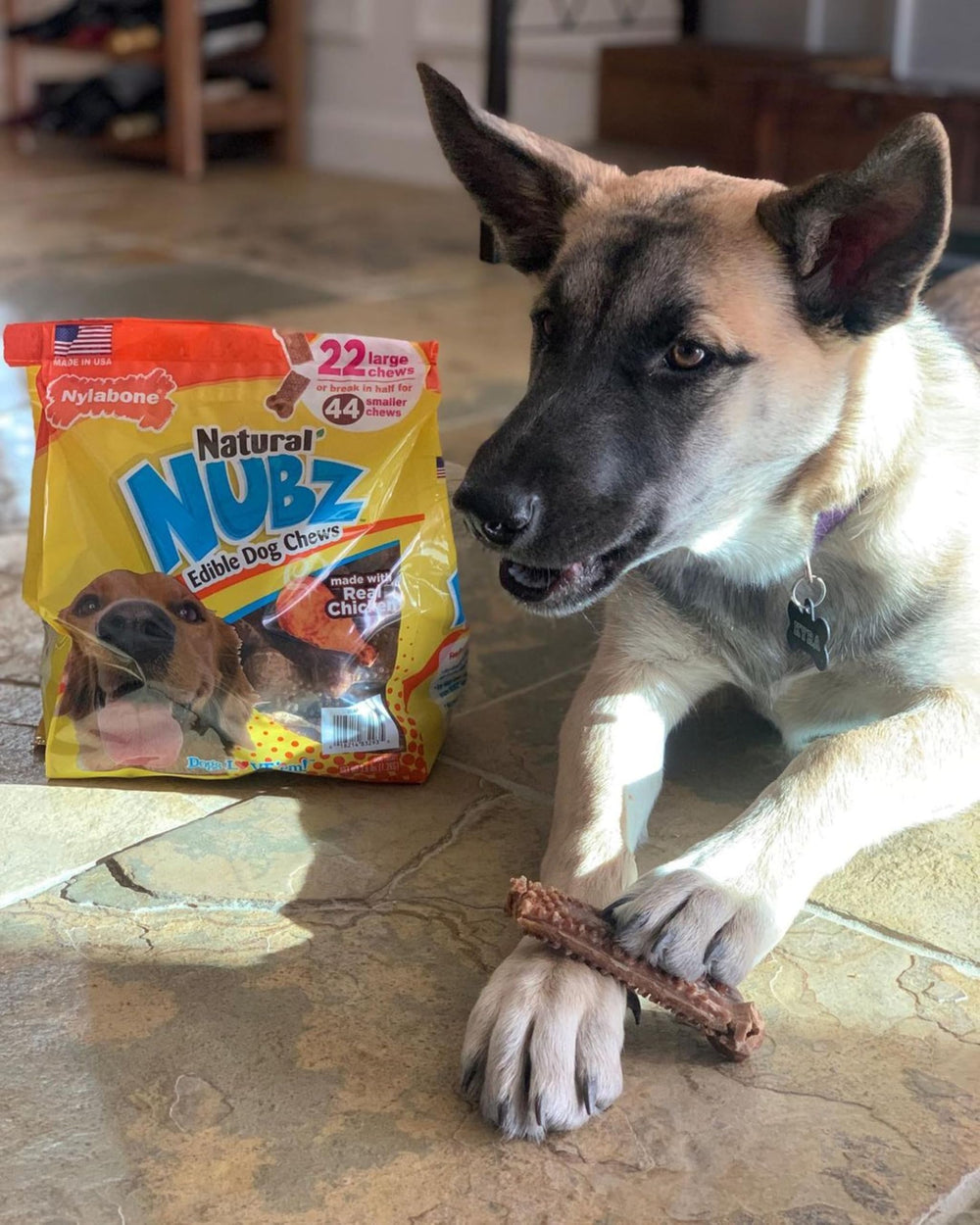 Nylabone Nubz para perros grandes, tamaño adecuado para canes de mayor tamaño.