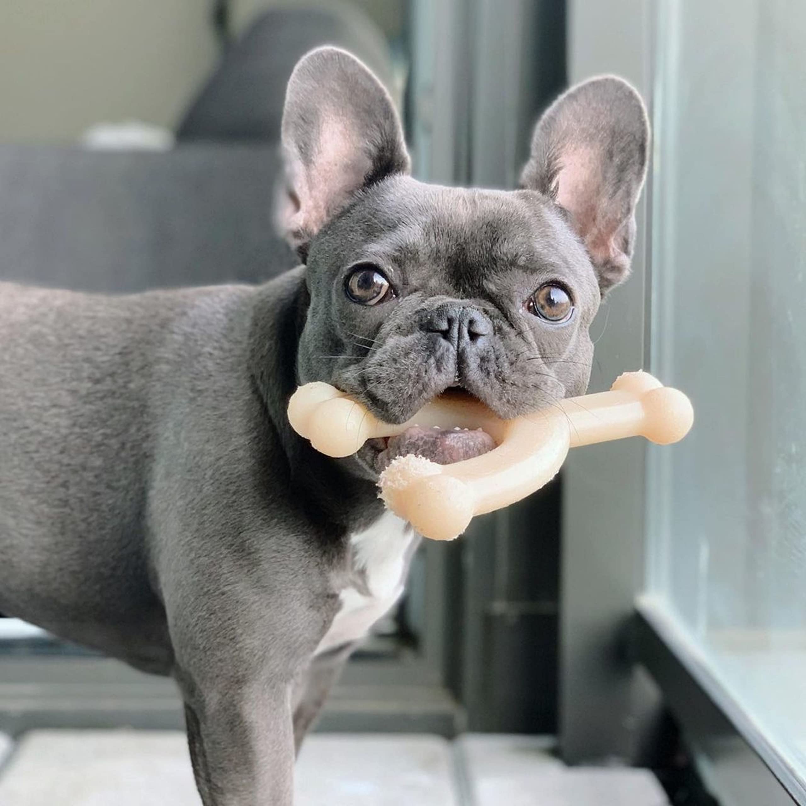 Nylabone Original Wishbone: ayuda a la limpieza dental durante la masticación.