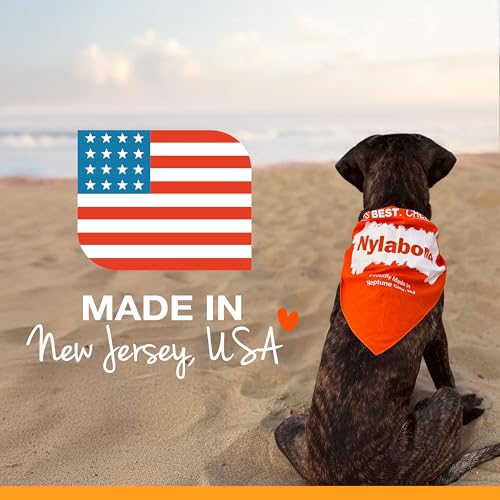 Nylabone Original Wishbone: juguete dental para uso diario en casa.