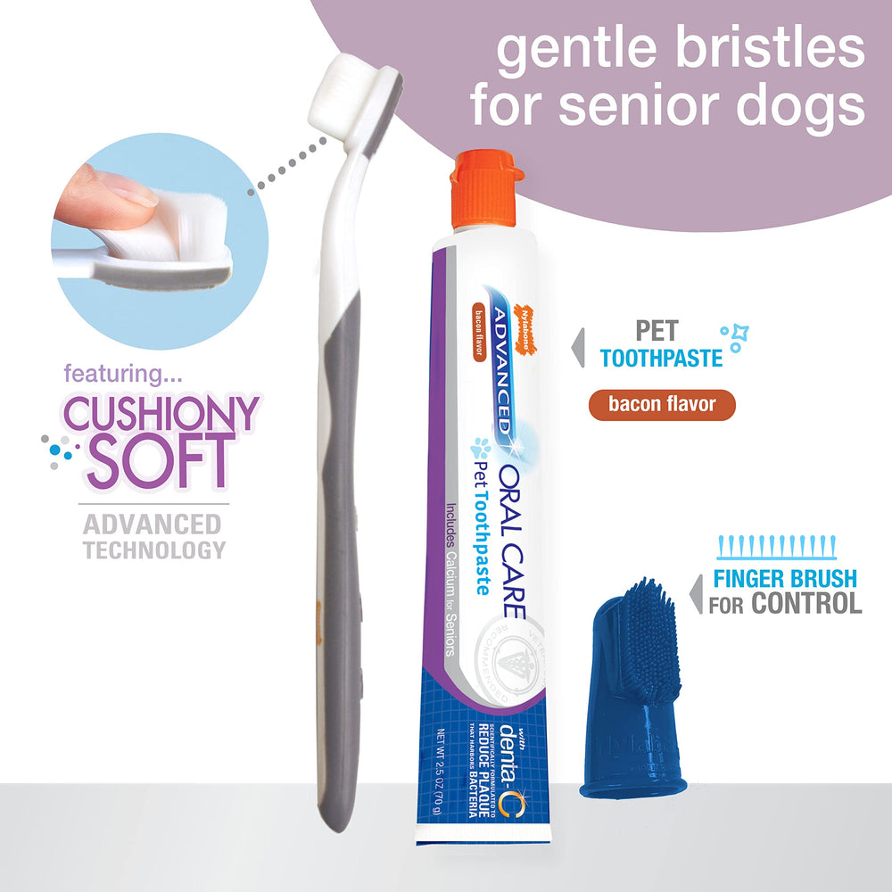 Nylabone pasta dental bacon con calcio para perros mayores