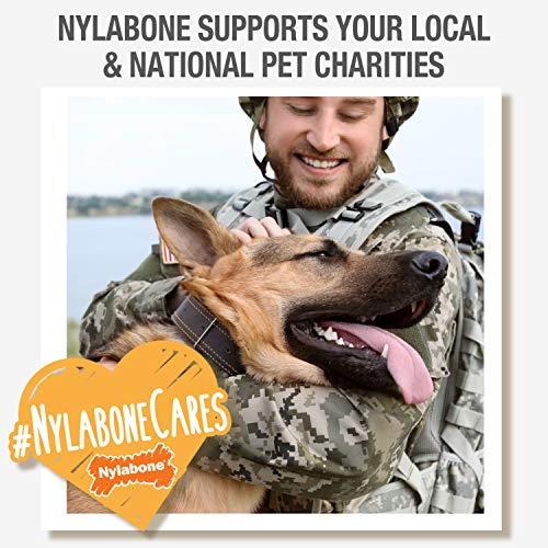 Nylabone Power Chew: ideal para perros grandes con impulso de masticar.