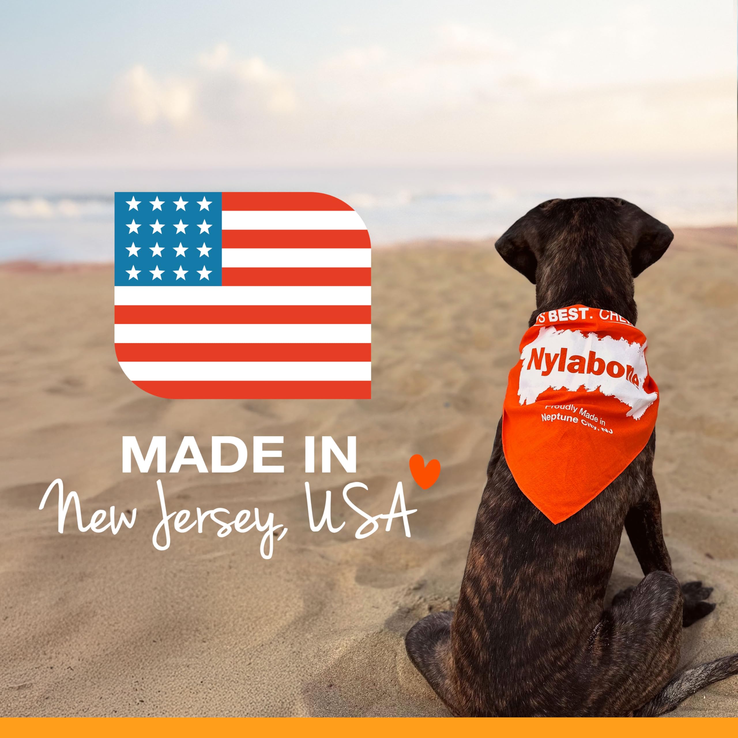 Nylabone Power Chew Hueso hecho en Estados Unidos