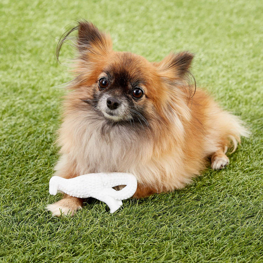 Nylabone Power Chew Dental Dino sabor pollo para perros pequeños.