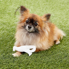 Nylabone Power Chew Dental Dino sabor pollo para perros pequeños.