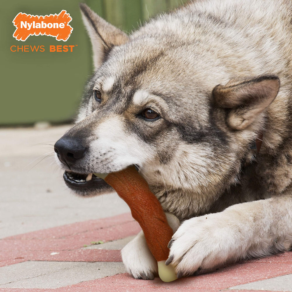 Nylabone Power Chew: diseño limpio sin grasa ni residuos