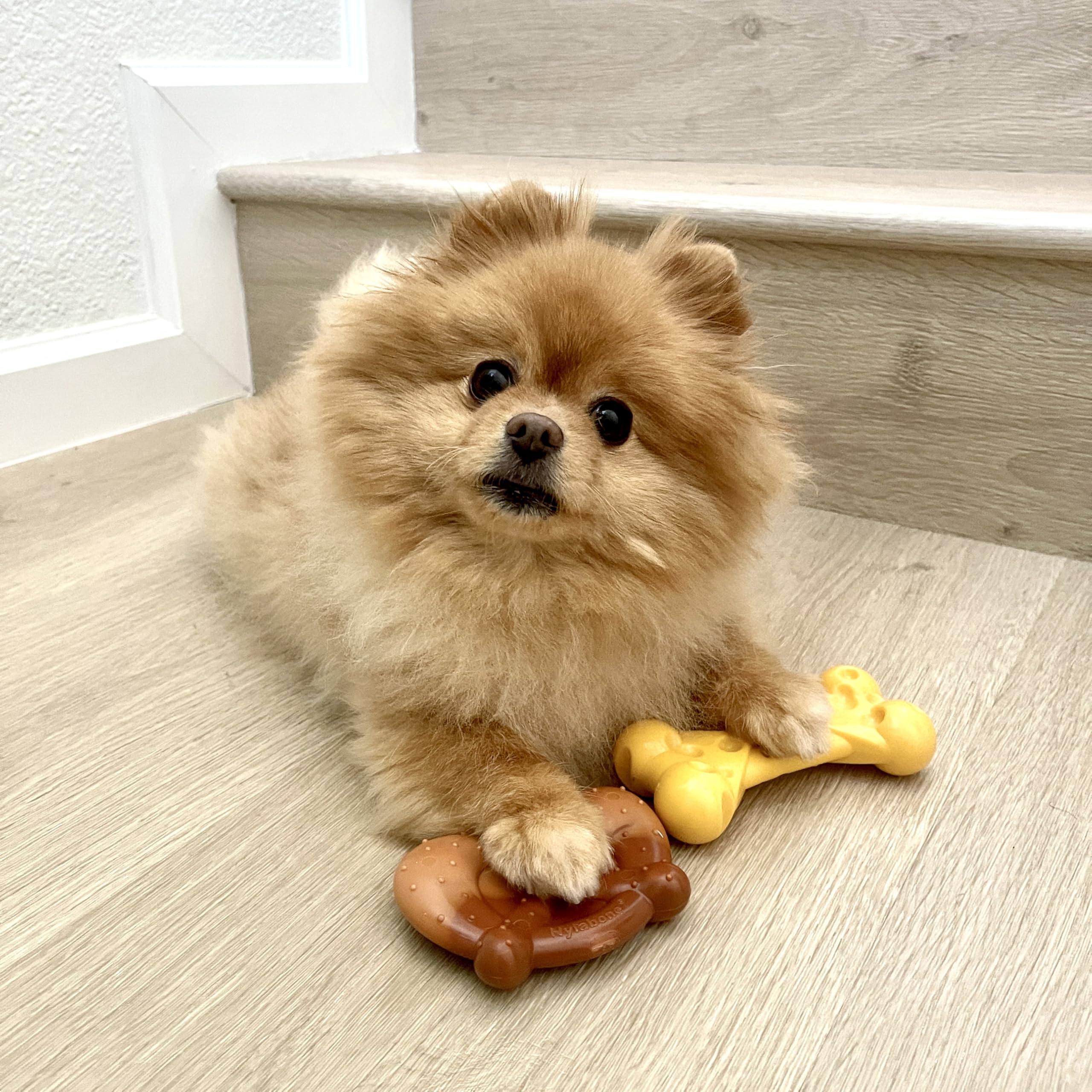 Nylabone Power Chew hueso de queso con bolsillos para premios.