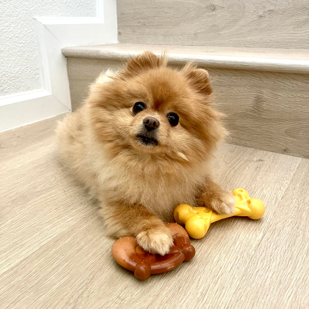 Nylabone Power Chew hueso de queso con bolsillos para premios.