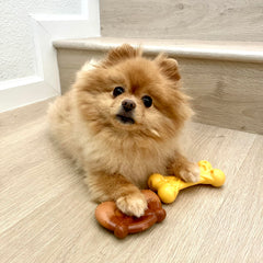 Nylabone Power Chew hueso de queso con bolsillos para premios.