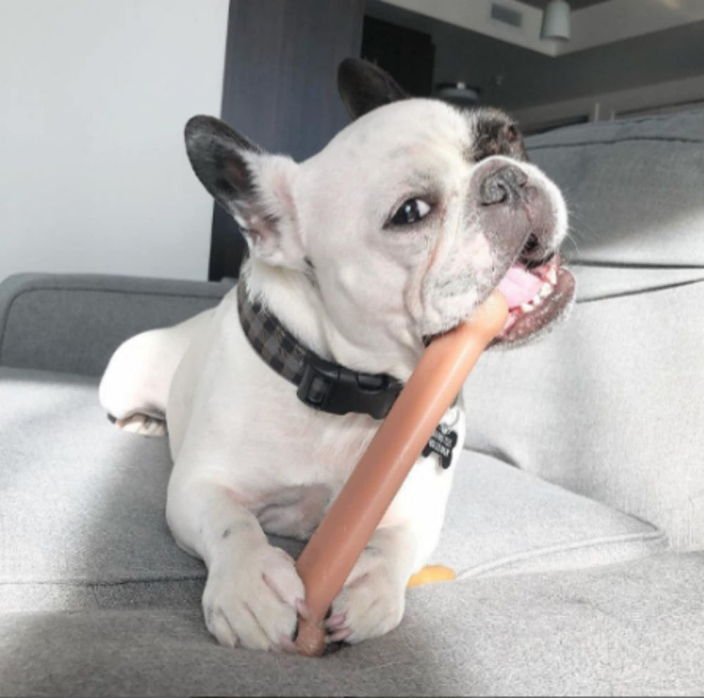 Nylabone Power Chew: juguete de nylon resistente para masticadores agresivos.