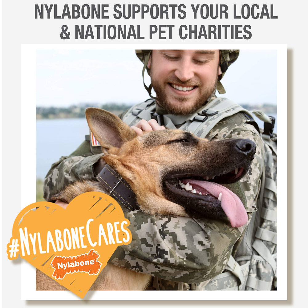 Nylabone Power Chew para mordedores agresivos ofrece desafío seguro y guiado.