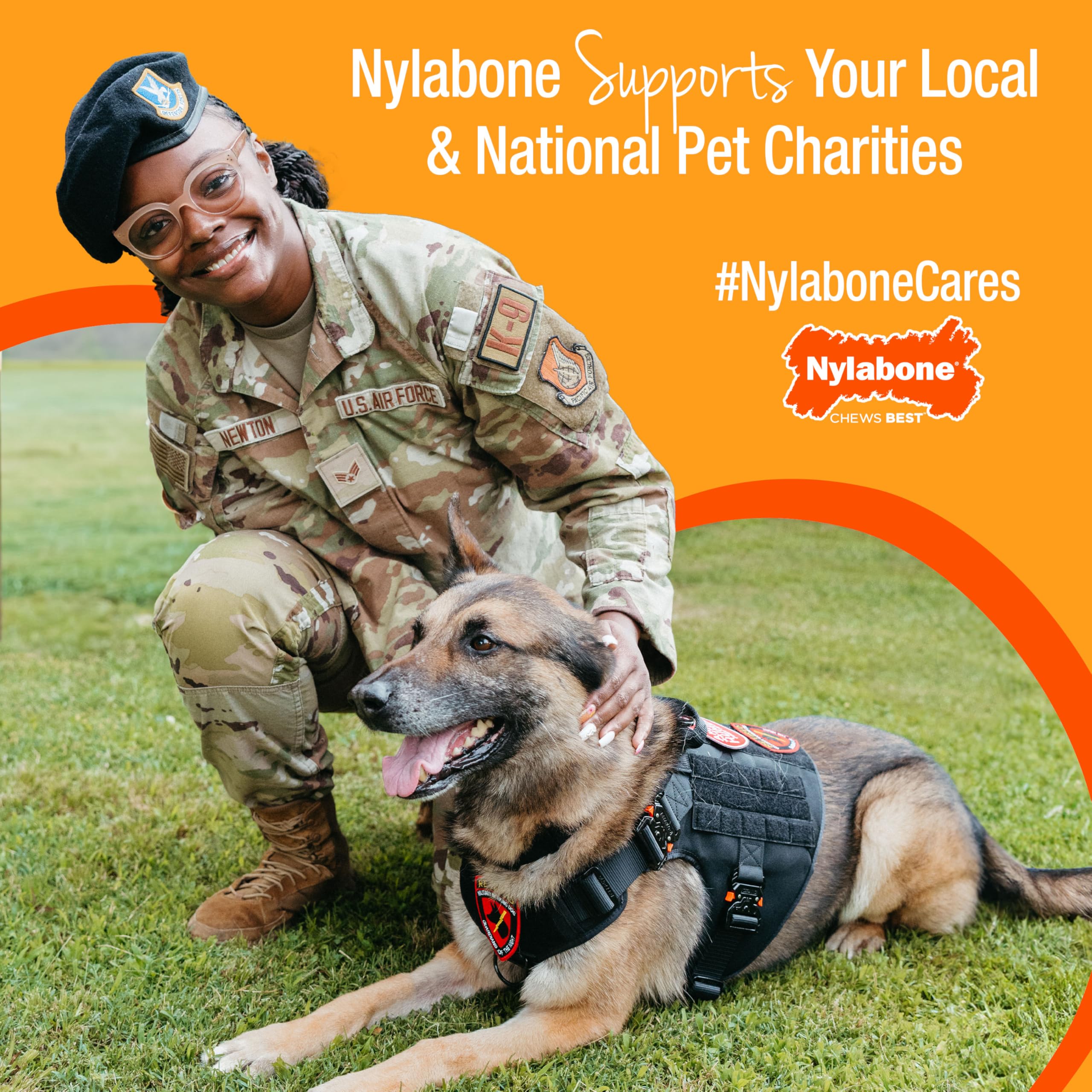 Nylabone Power Chew: para perros hasta 25 lb, tamaño adecuado para razas pequeñas.