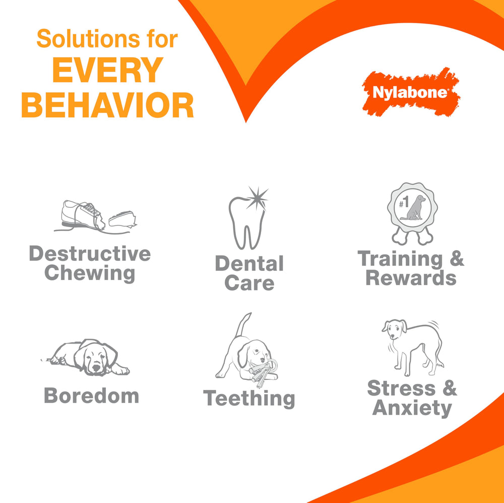 Nylabone Power Chew: regalo de navidad perfecto para perros durante las fiestas.