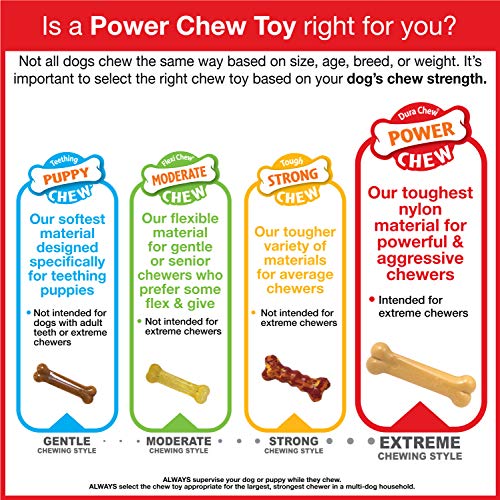 Nylabone Power Chew: sabor ternera para mayor interés en cada masticada