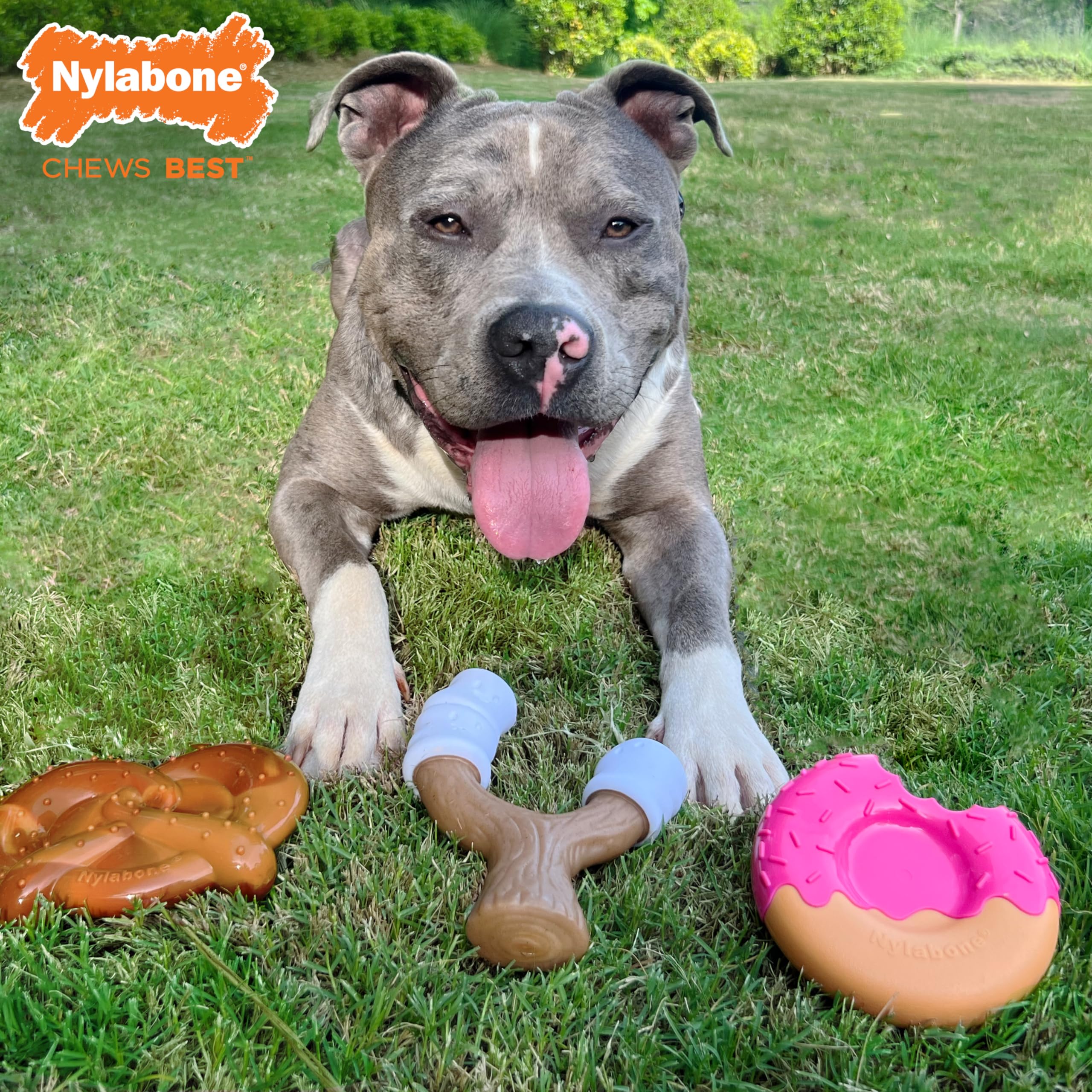 Nylabone Power Chew toasted marshmallow stick para masticación duradera y estimulante