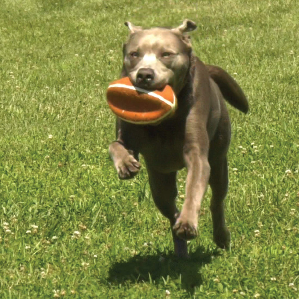 Nylabone Power Play Gripz, juego interactivo para estimular el juego en equipo.
