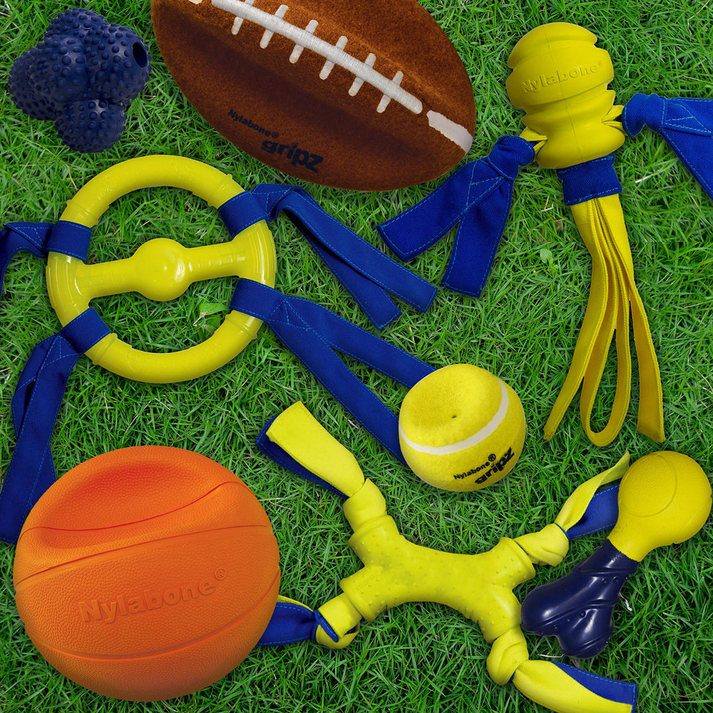 Nylabone Power Play Gripz, lanzamiento a distancia de 30 metros.