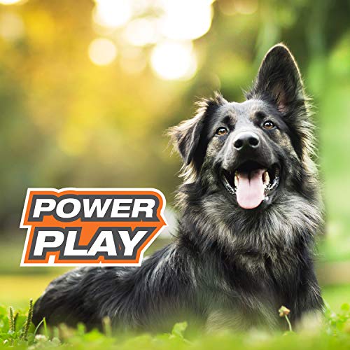 Nylabone Power Play Gripz, adecuado para uso en exteriores.