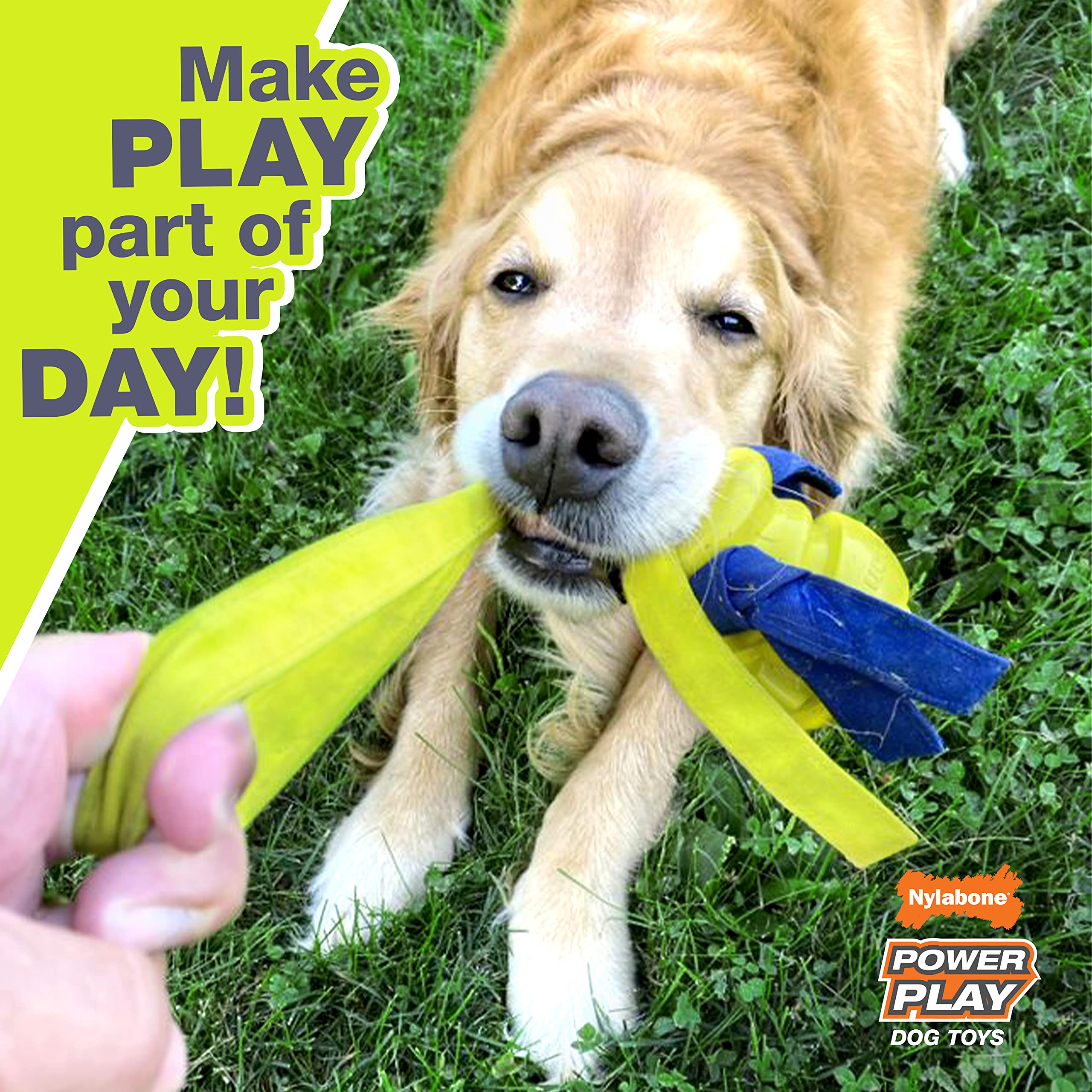 Nylabone Power Play Gripz, rebote y balance para sesiones dinámicas de juego.
